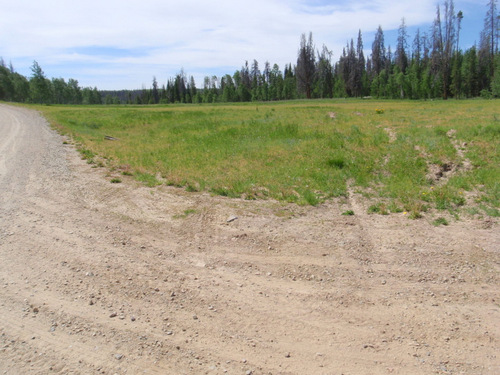 A natural high altitude park.